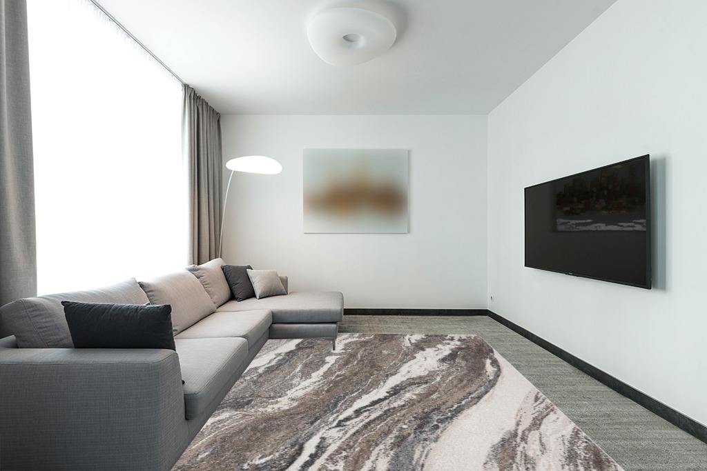 Rugs on grey carpet ideas in Modern Living Room with Grey Couch