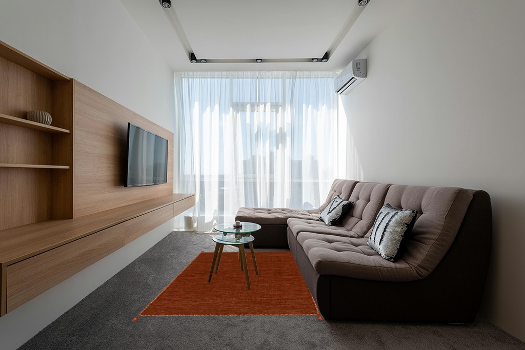 Mid century modern rug ideas 294