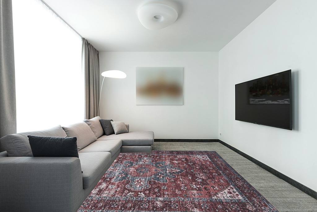Rug over carpet ideas in Modern Living Room with Grey Couch