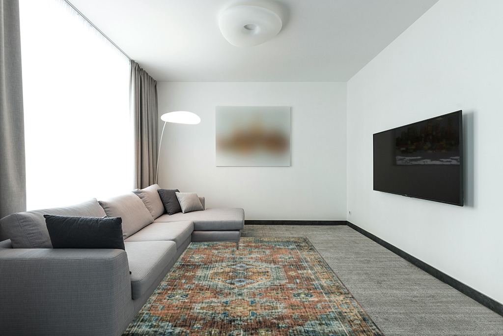Modern living room rug ideas in Modern Living Room with Grey Couch