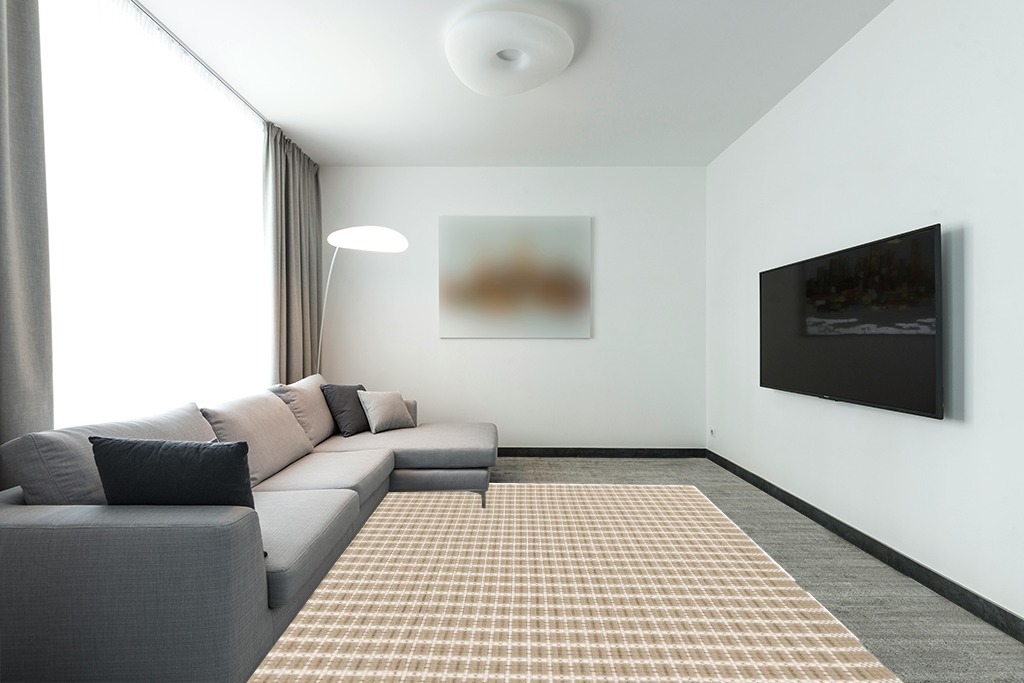 Dash & Albert 8x10, Beige and Brown Rug in Modern Living Room with Grey Couch Room