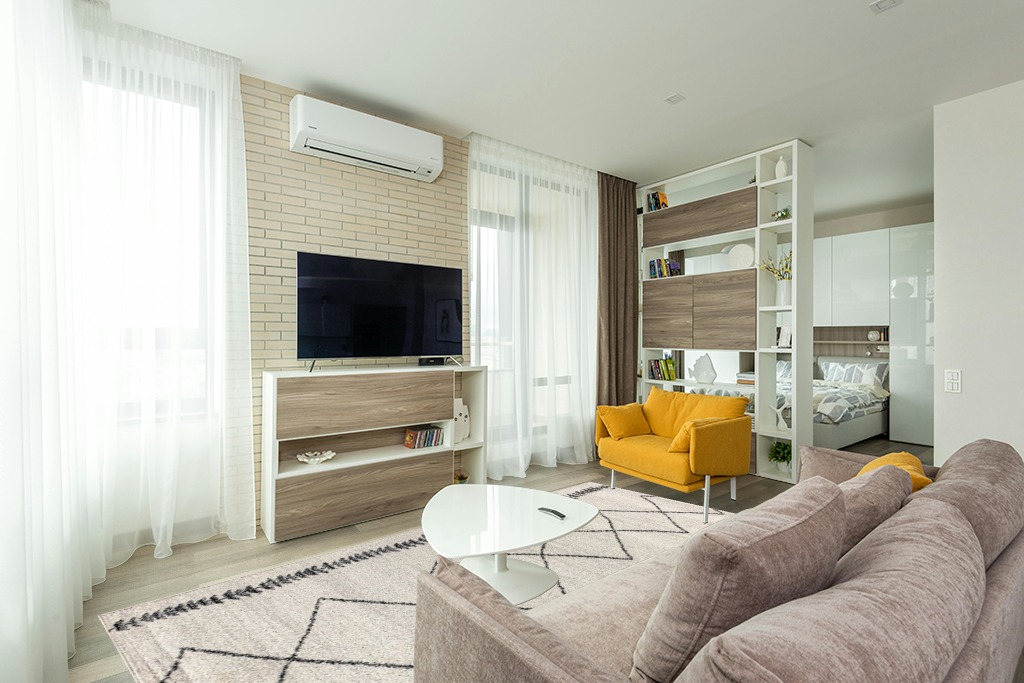 Farmhouse rug ideas in Light Modern Living Room with TV