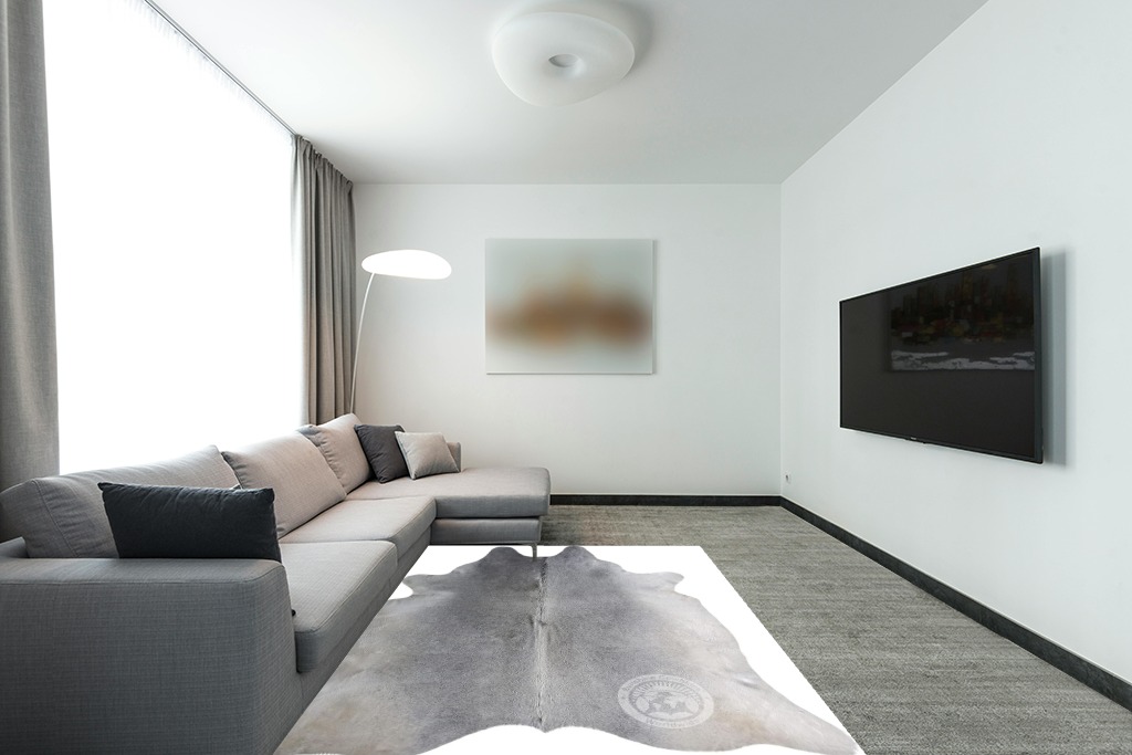 Cowhide rug decor ideas in Modern Living Room with Grey Couch