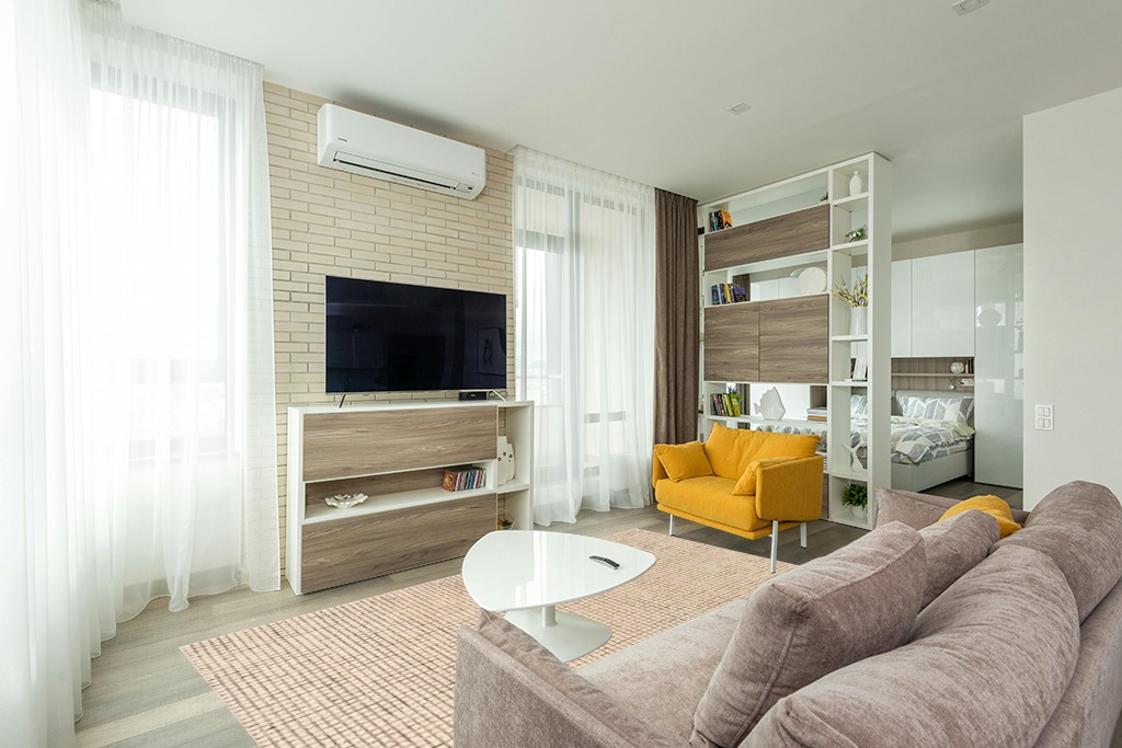 Living room ideas with fur rug in Light Modern Living Room with TV
