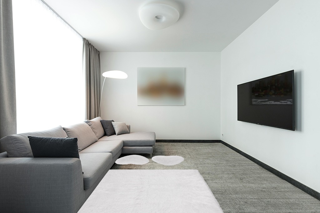 Are white rugs a bad idea in Modern Living Room with Grey Couch