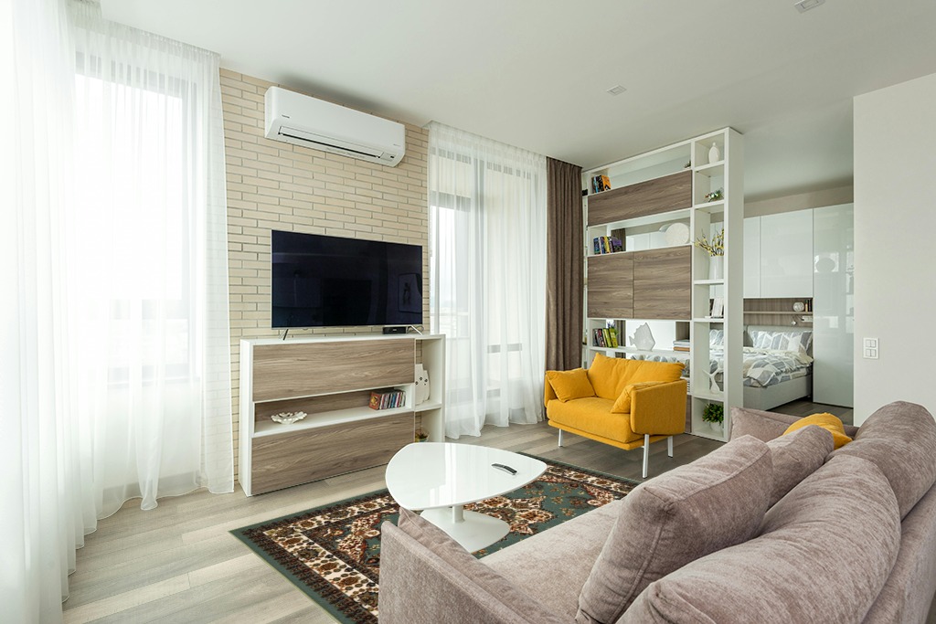 Oriental rug decorating ideas in Light Modern Living Room with TV