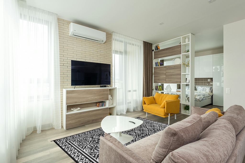 Are black rugs a bad idea in Light Modern Living Room with TV
