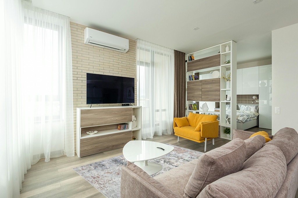 Rug ideas for small living room in Light Modern Living Room with TV
