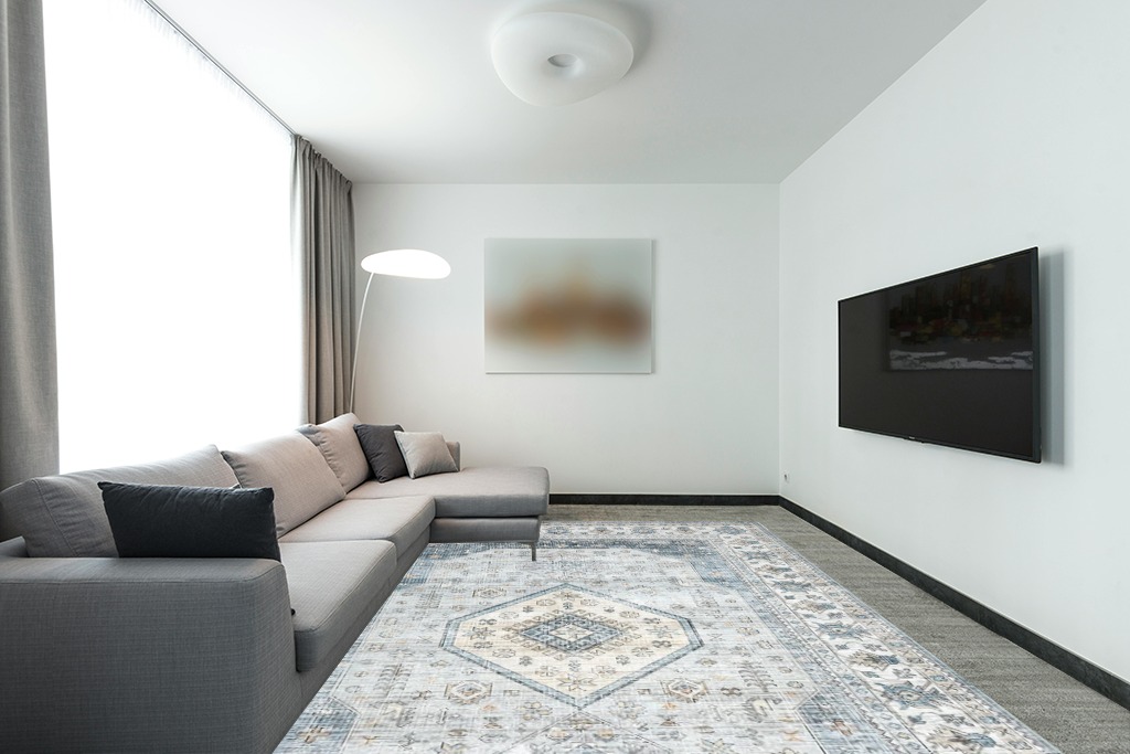 Large rug ideas in Modern Living Room with Grey Couch