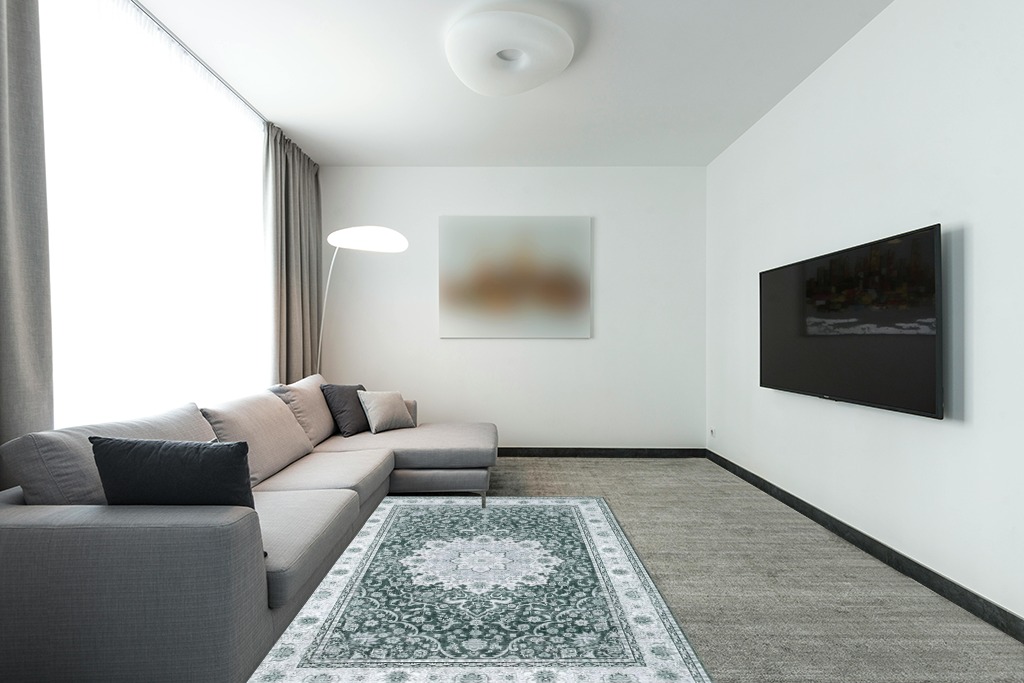 Blue rug ideas in Modern Living Room with Grey Couch