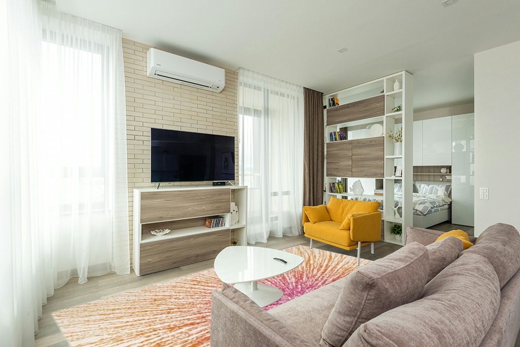 Cute rug ideas in Light Modern Living Room with TV