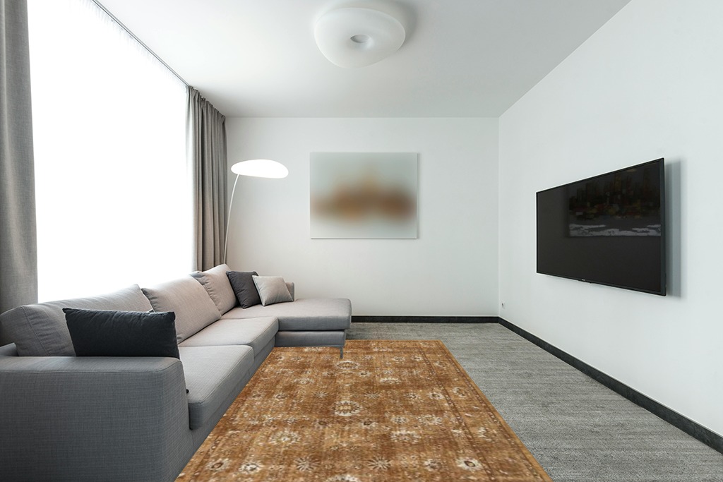 Rug ideas in Modern Living Room with Grey Couch