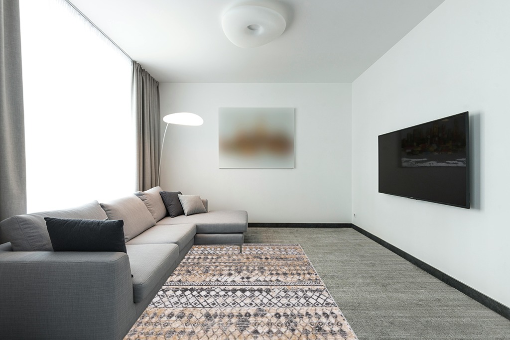 Rug over carpet ideas in Modern Living Room with Grey Couch