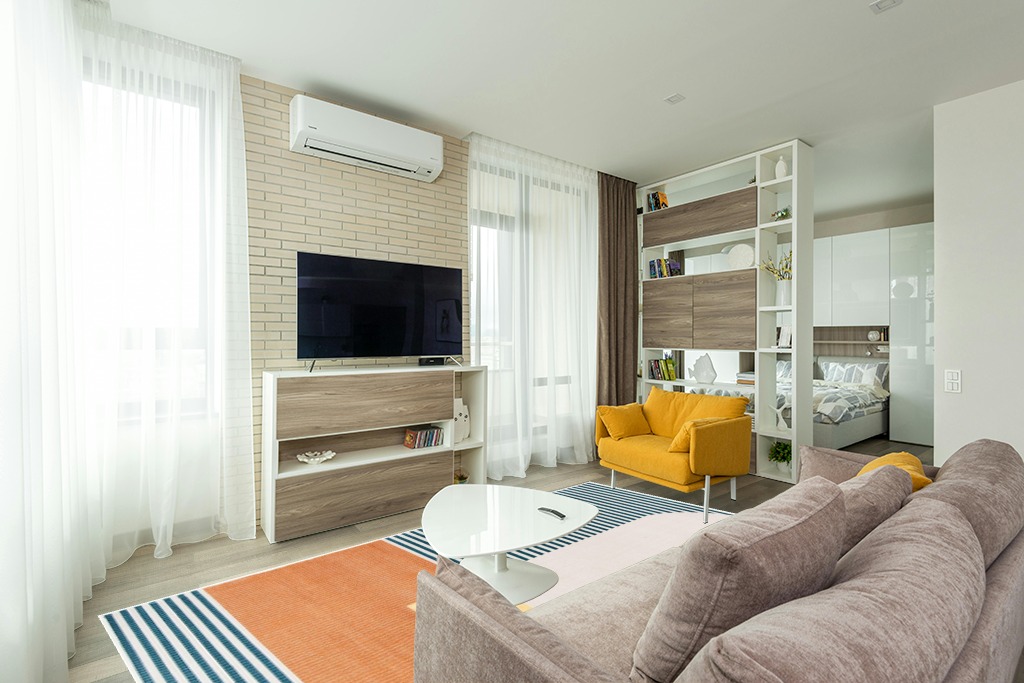 Rug ideas for small living room in Light Modern Living Room with TV