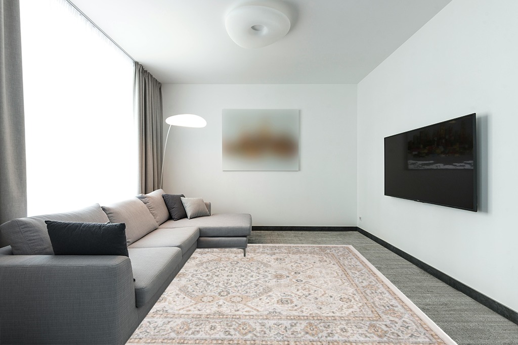 Living room ideas persian rug in Modern Living Room with Grey Couch
