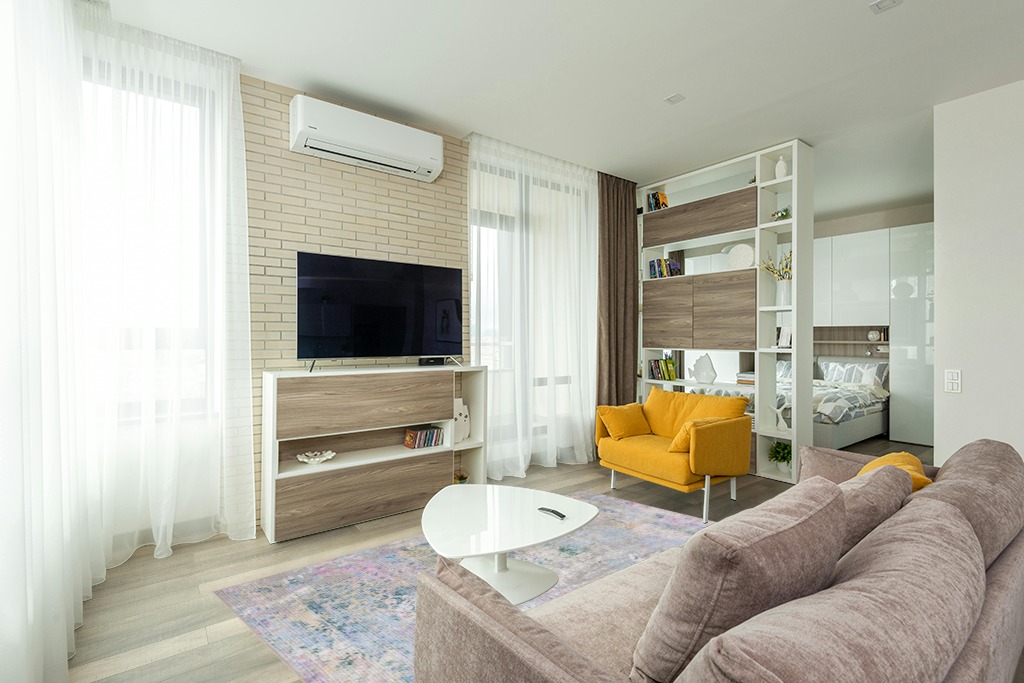 Cute rug ideas in Light Modern Living Room with TV