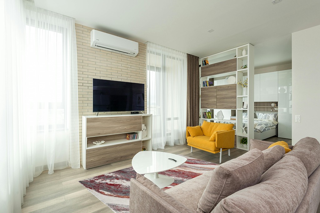 Cute rug ideas in Light Modern Living Room with TV