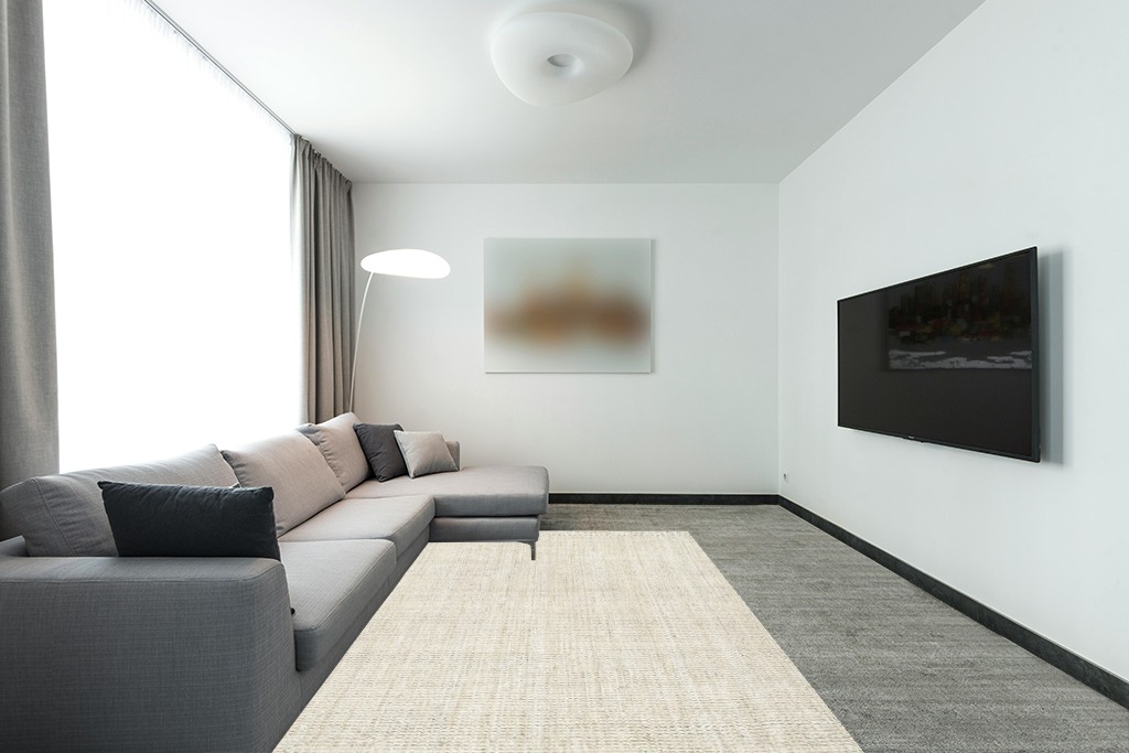 Modern living room rug ideas in Modern Living Room with Grey Couch