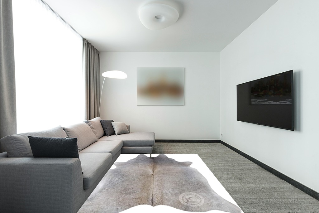Cowhide rug decor ideas in Modern Living Room with Grey Couch