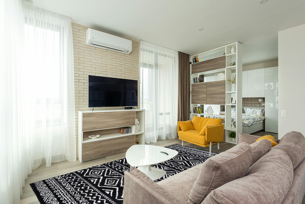 Black and white rug ideas in Light Modern Living Room with TV