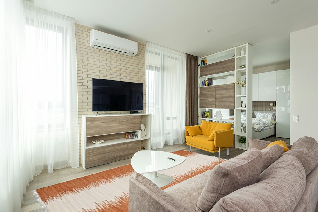 Orange rug living room ideas in Light Modern Living Room with TV