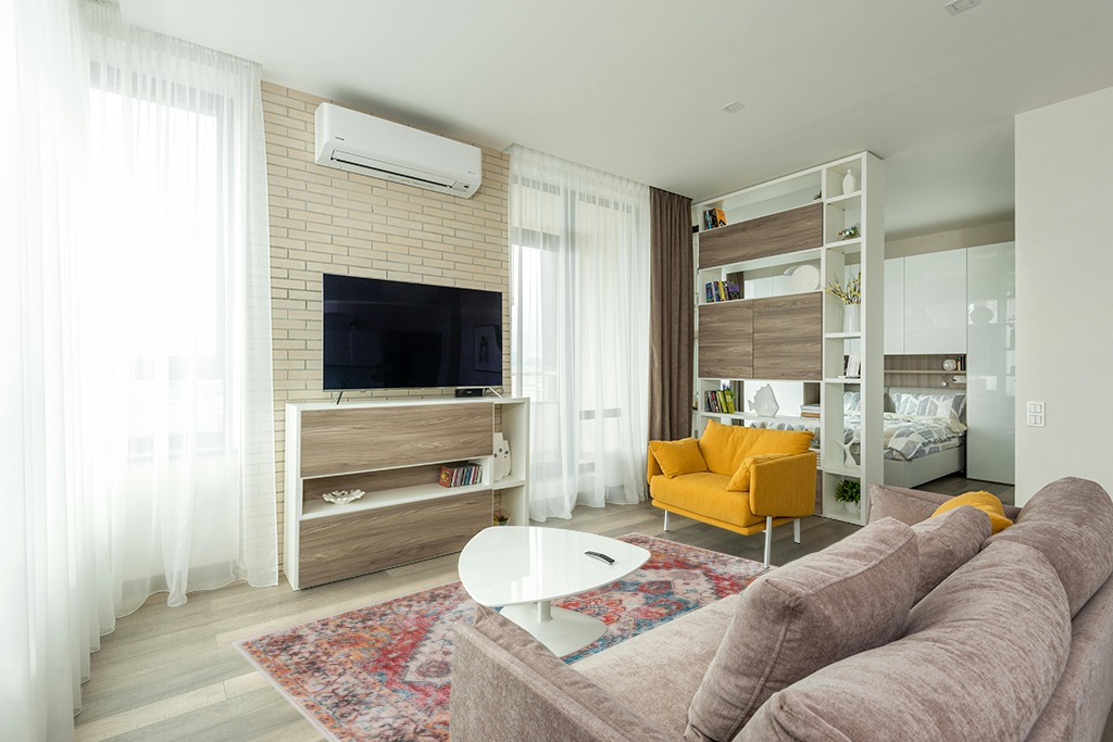Red persian rug living room ideas in Light Modern Living Room with TV