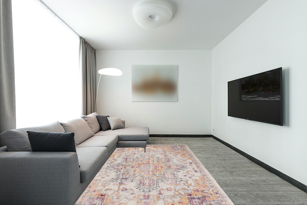 Rug ideas in Modern Living Room with Grey Couch