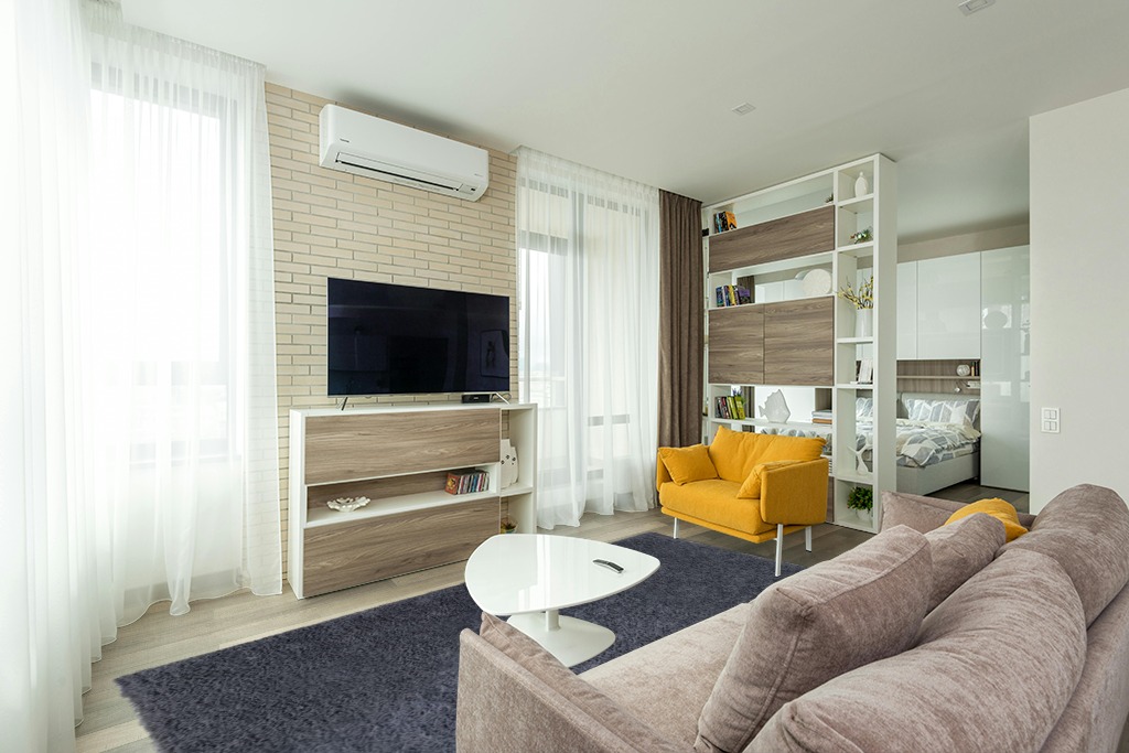 Super Soft Plush Large Rug in Light Modern Living Room with TV