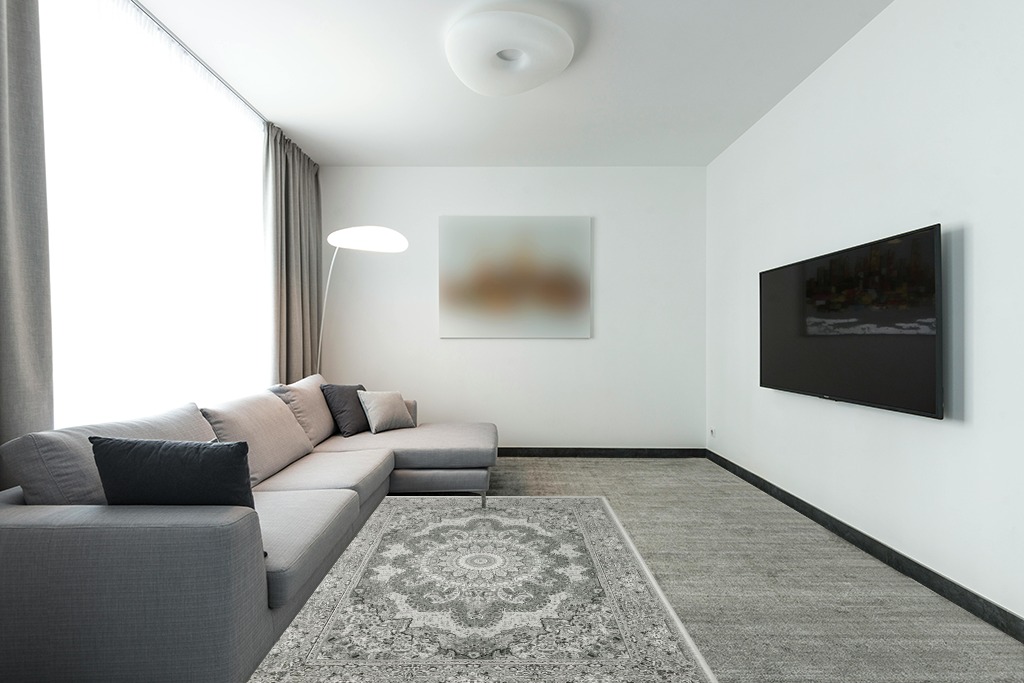 Rugs on grey carpet ideas in Modern Living Room with Grey Couch