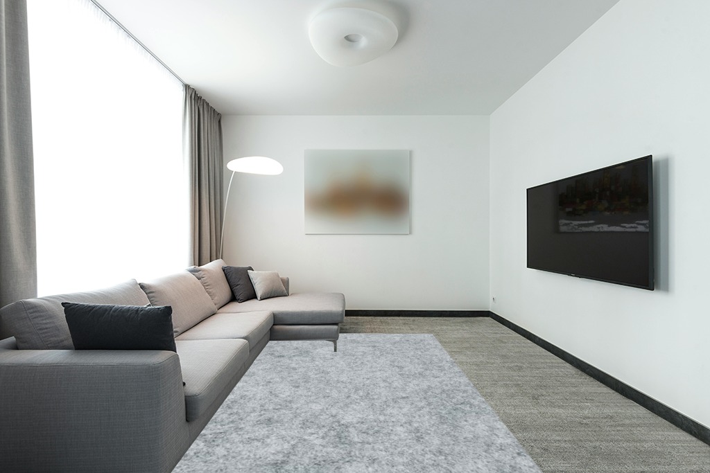 Rugs on grey carpet ideas in Modern Living Room with Grey Couch