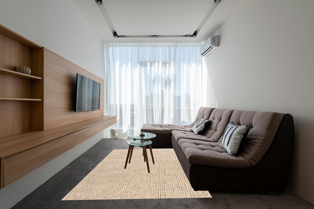 Rug ideas for small living room in Grey Living Room with Brown Couch