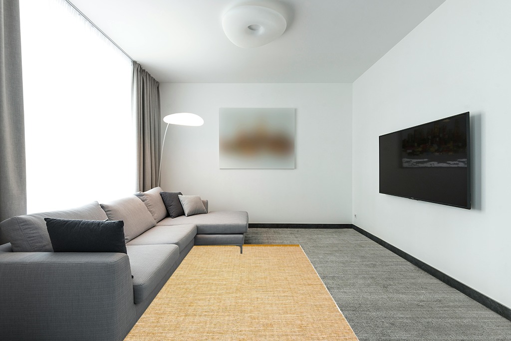 Rug over carpet ideas in Modern Living Room with Grey Couch
