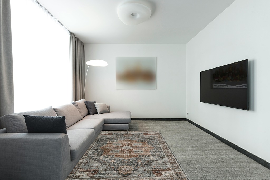 Rug over carpet ideas in Modern Living Room with Grey Couch