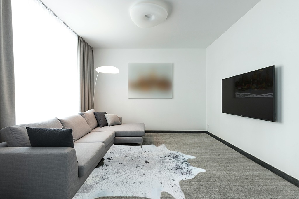 Cowhide rug decor ideas in Modern Living Room with Grey Couch