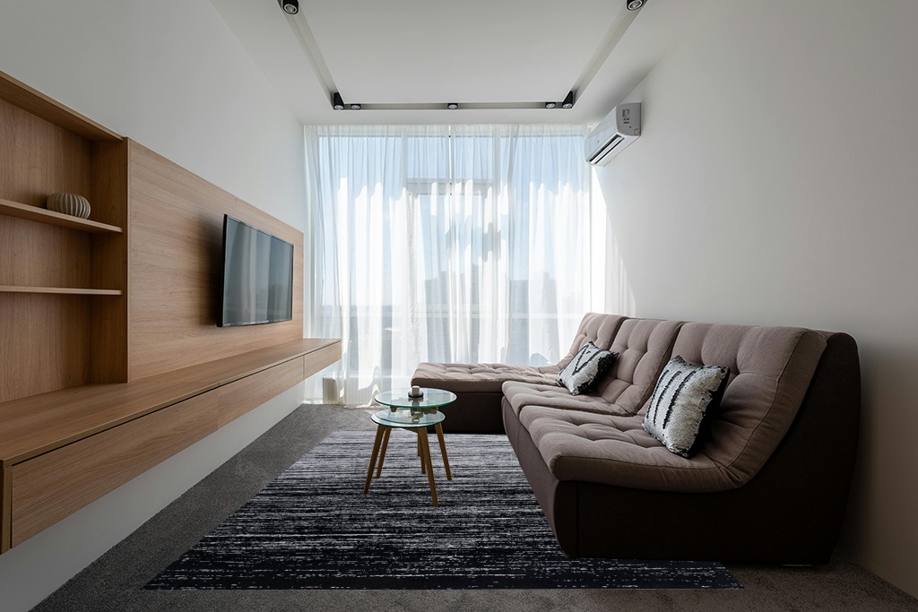 Mid century modern rug ideas 362