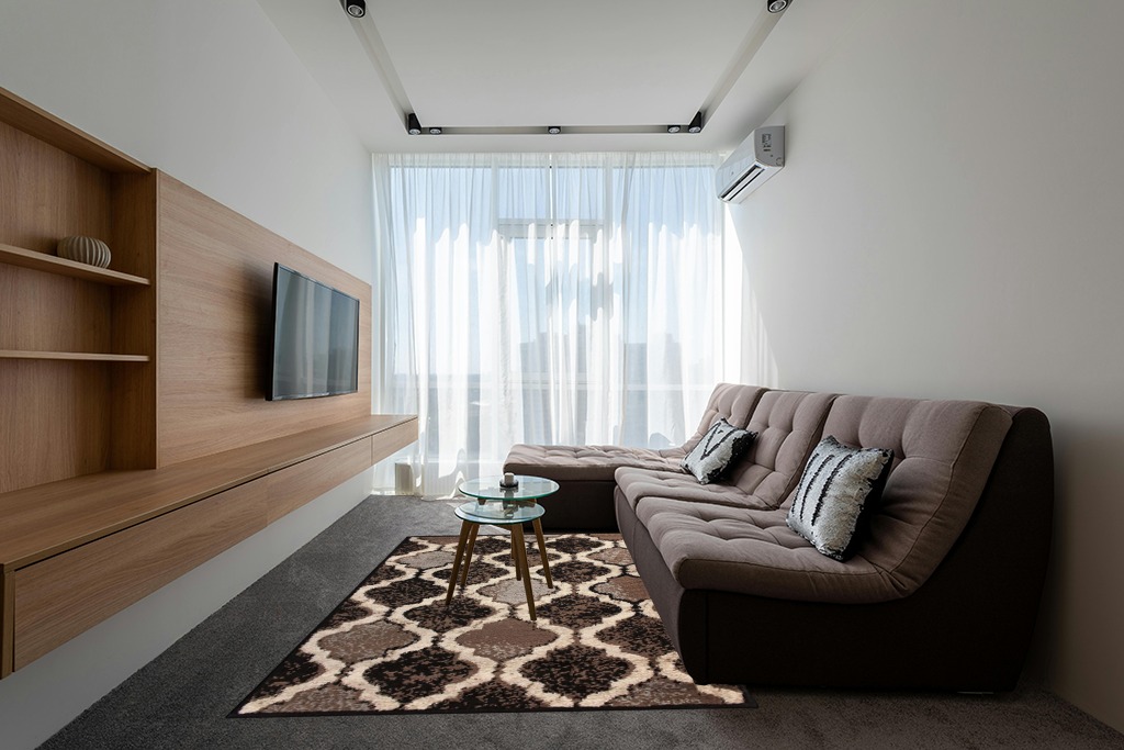‎A Chocolate ‎Modern ‎Stain Resistant ‎Area Rug in Grey Living Room with Brown Couch