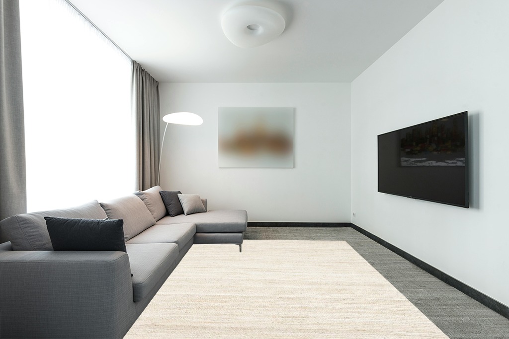 Modern living room rug ideas in Modern Living Room with Grey Couch
