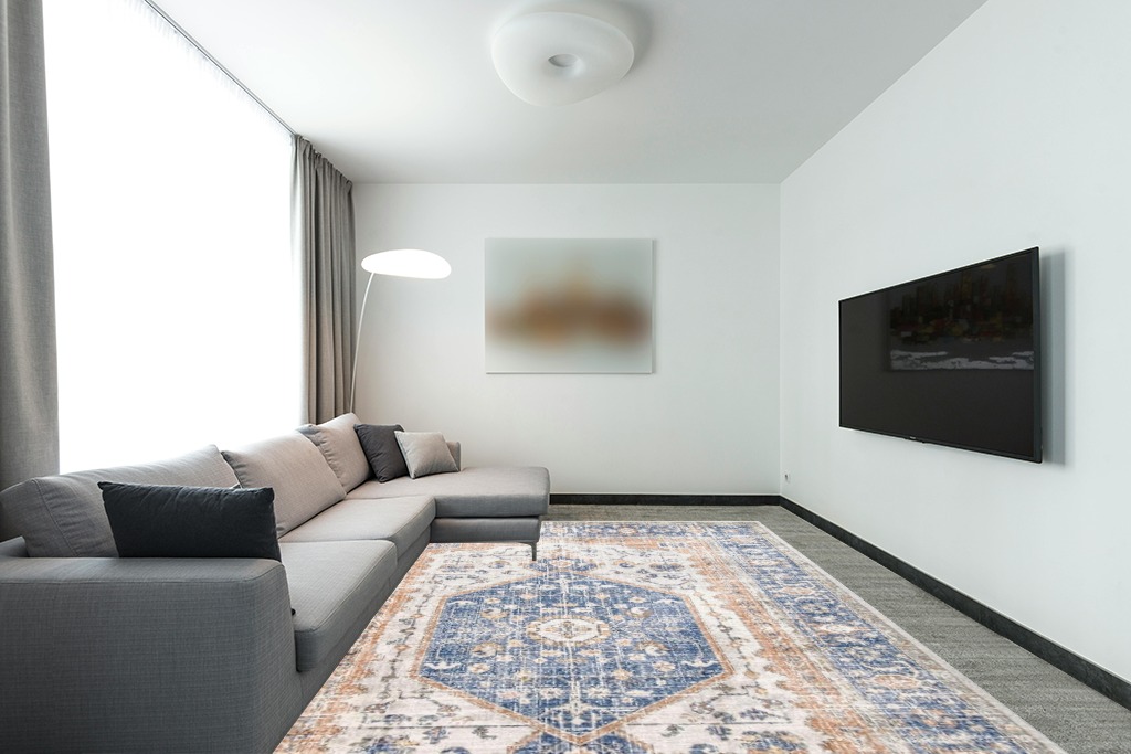 Large rug ideas in Modern Living Room with Grey Couch