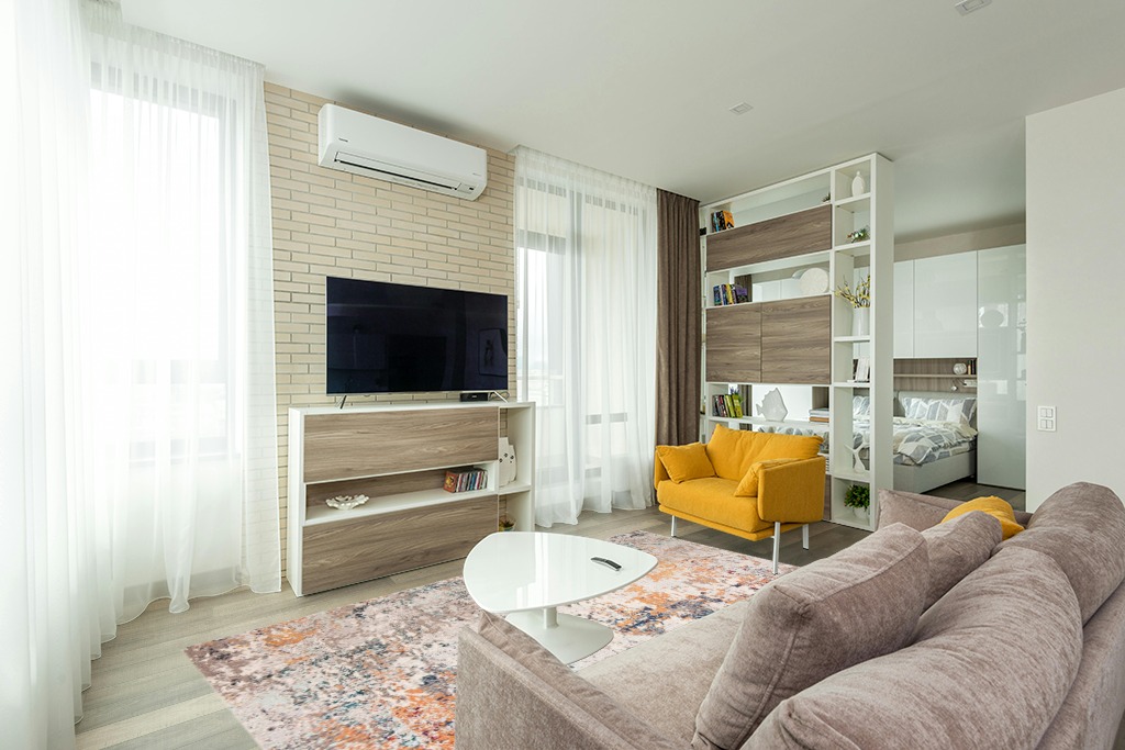 Modern living room rug ideas in Light Modern Living Room with TV