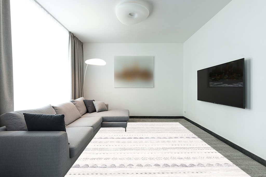 Large rug ideas in Modern Living Room with Grey Couch