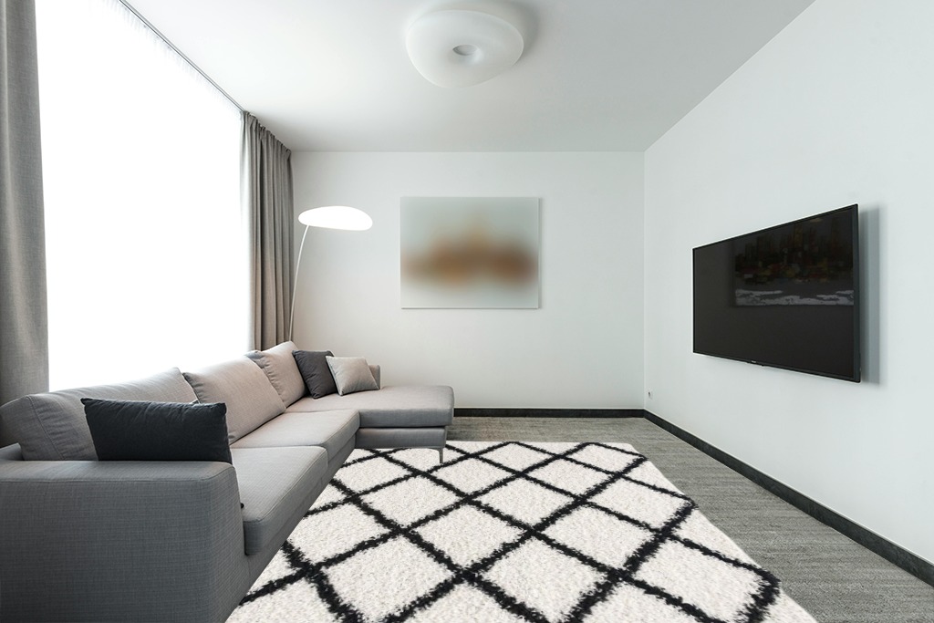 Mid century modern rug ideas 200