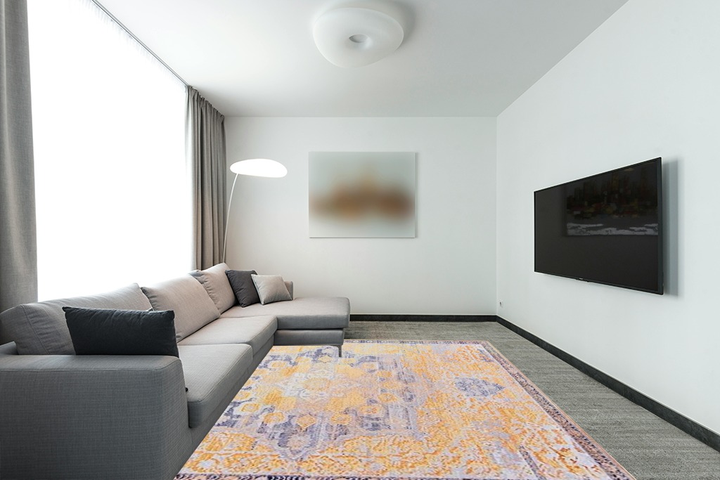 Rug over carpet ideas in Modern Living Room with Grey Couch
