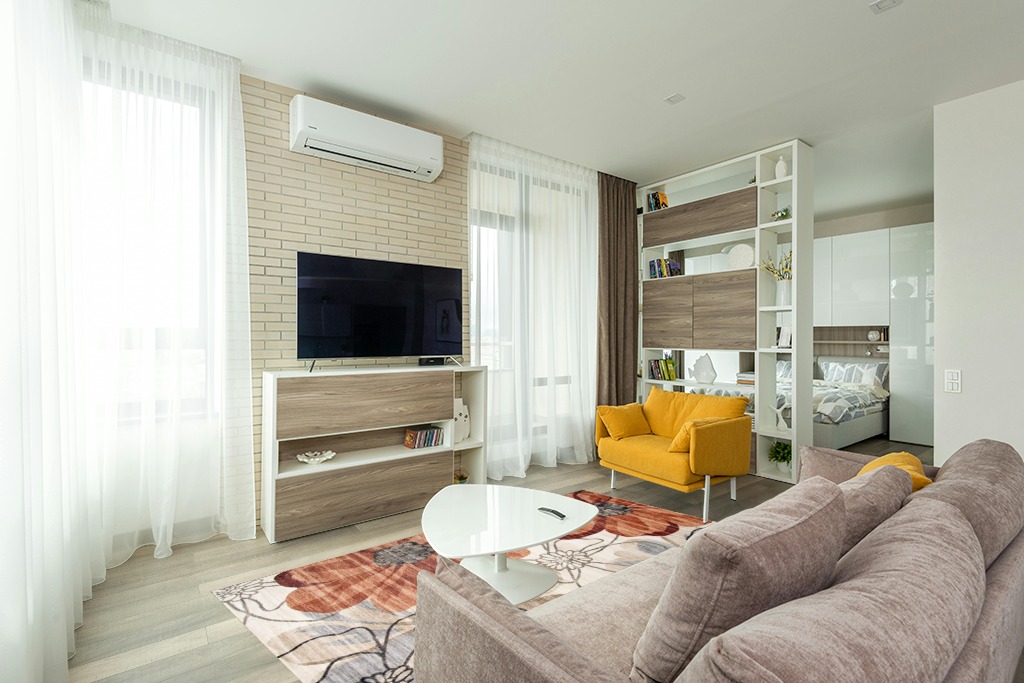 Cute rug ideas in Light Modern Living Room with TV
