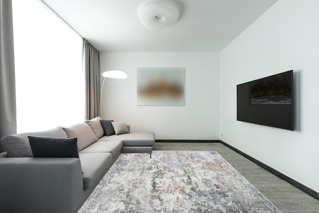Grey rug ideas in Modern Living Room with Grey Couch