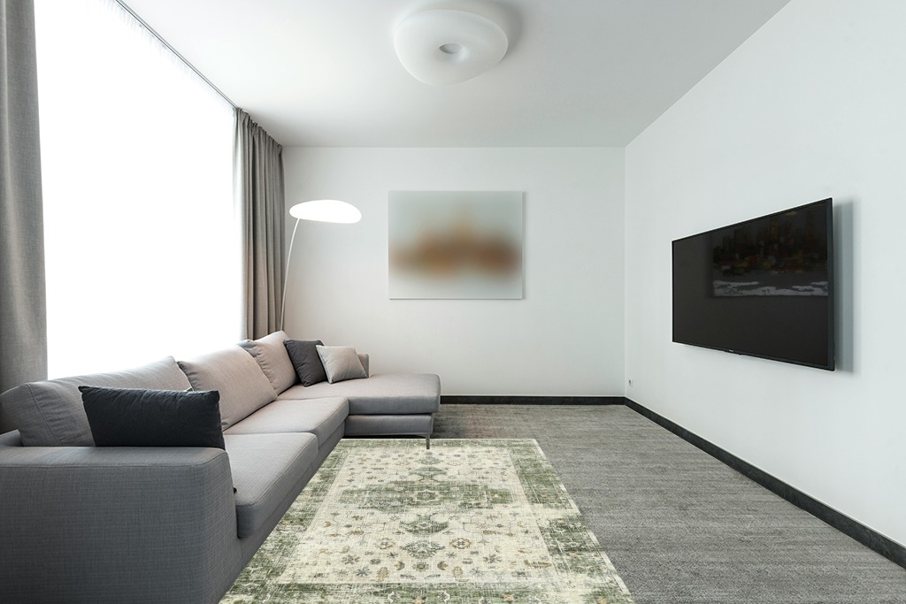 Green rug ideas in Modern Living Room with Grey Couch