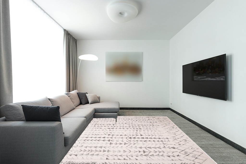 Farmhouse living room rug ideas in Modern Living Room with Grey Couch