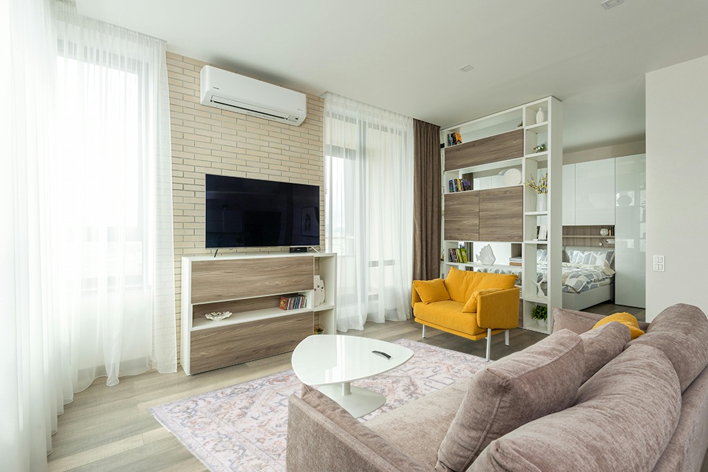 Cute rug ideas in Light Modern Living Room with TV