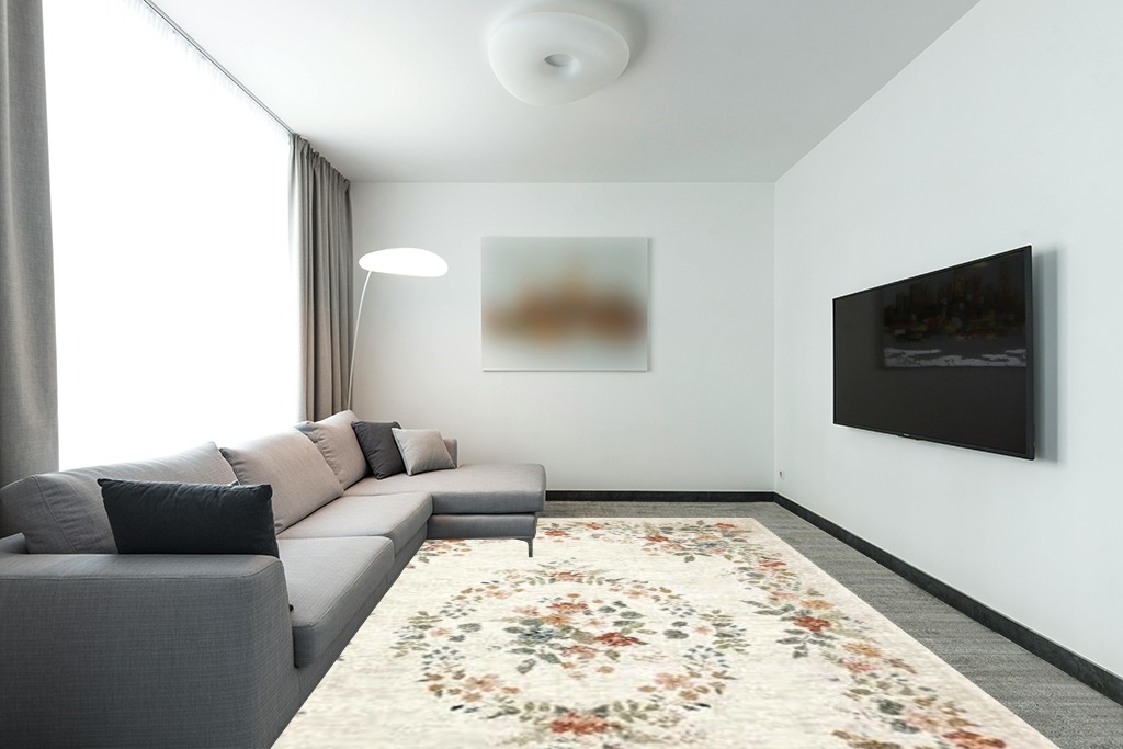 Large rug ideas in Modern Living Room with Grey Couch
