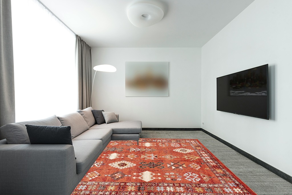 Living room ideas persian rug in Modern Living Room with Grey Couch