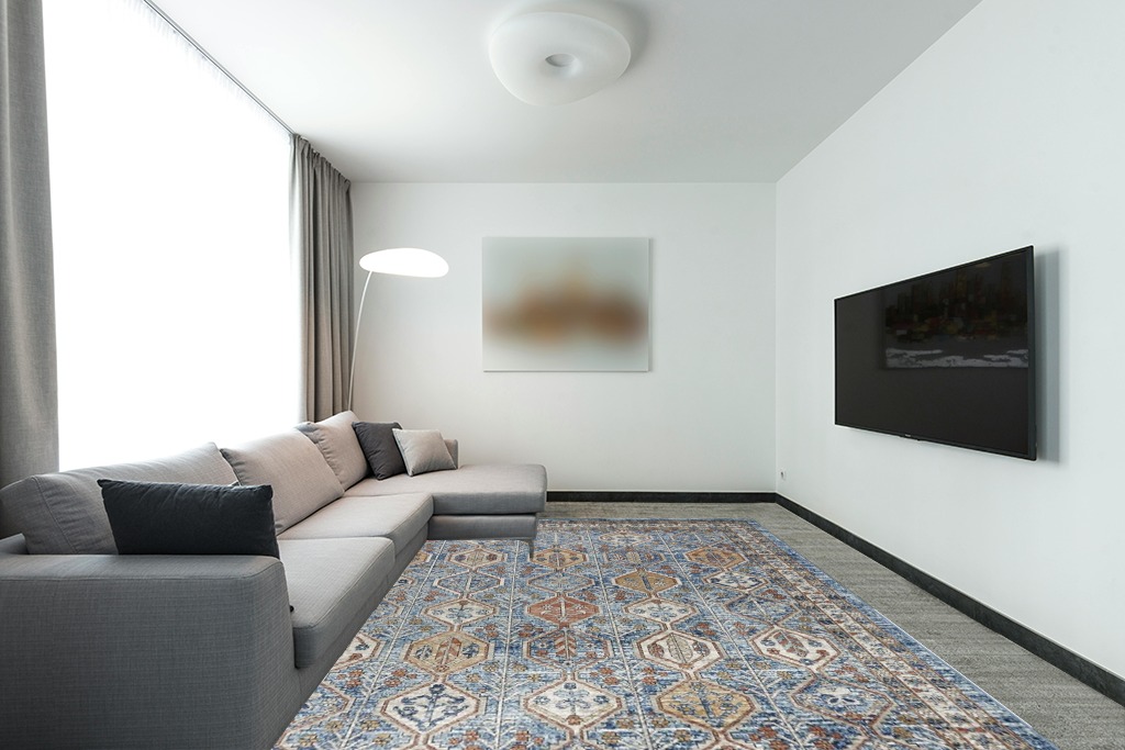 Large rug ideas in Modern Living Room with Grey Couch